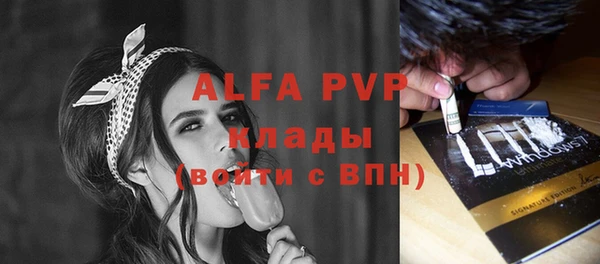сатива Алзамай