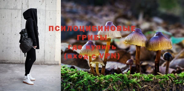 скорость Алексин