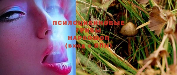 скорость Алексин