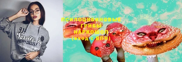 сатива Алзамай