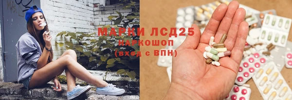 сатива Алзамай