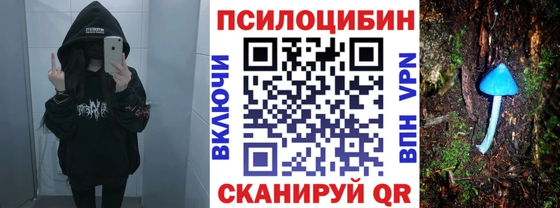 блэк спрут ТОР Волгоград Псилоцибиновые грибы Magic Shrooms