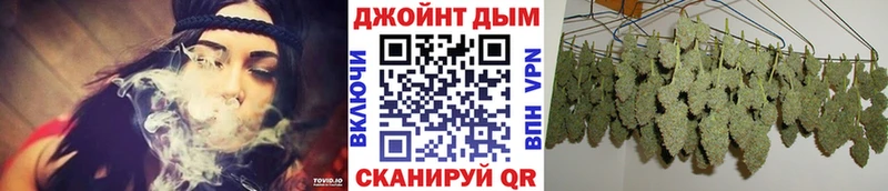 Конопля гибрид  Волгоград 